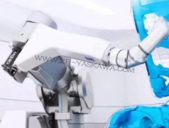 �Ŷ�DURR������EcoRP L033����ת���޷���ֵά��